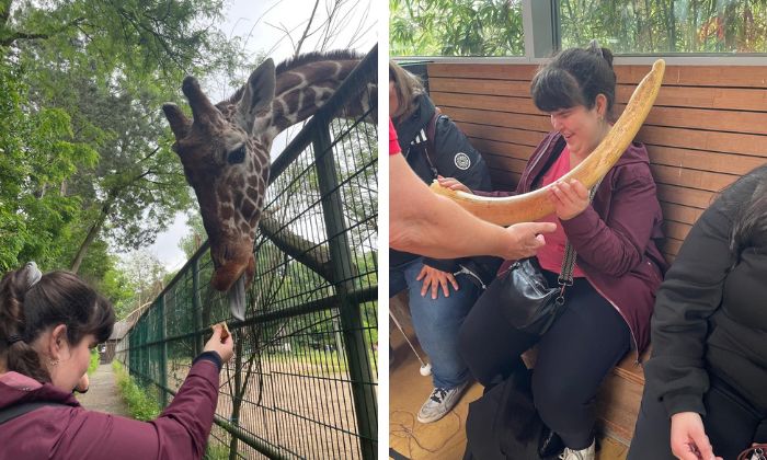 links: Frau füttert Giraffe, rechts: Frau hält Elefantenzahn