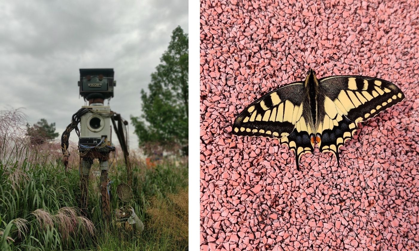 Roboter und Schmetterling © Benjamin Stapf