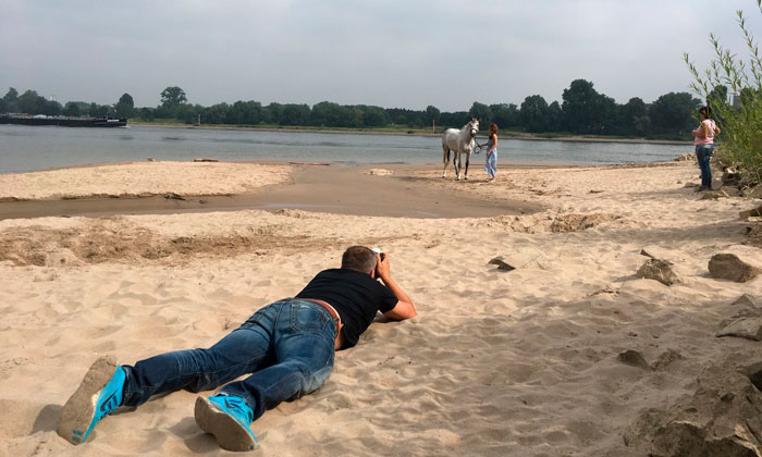 Pferde Fotoshooting am Rhein
