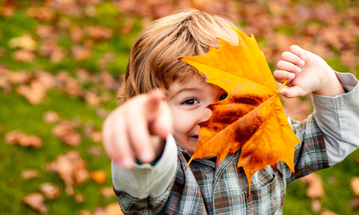 Eine beliebte Beschäftigung im Herbst: Blätter sammeln und pressen. © Volodymyr/Adobe Stock