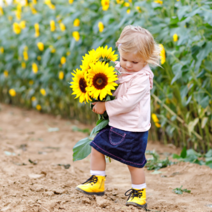 Kind mit Sonnenblumen © Irina Schmidt/Adobe Stock