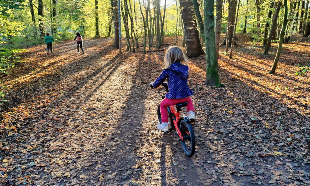 Ein Wanderweg geeignet auch für Laufrad, Kleinkinder, Rollstuhl oder Kinderwagen.