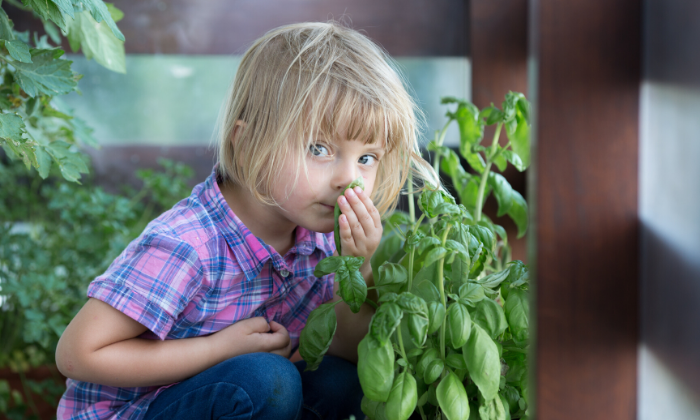 Schon kleine Kinder haben Spaß daran, Verantwortung für eine Pflanze zu übernehmen. © ZoneCreative/Adobe Stock