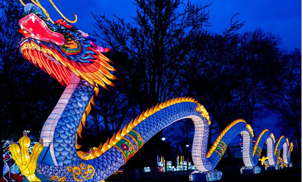 Ein riesiger Drache bei China Lights im Kölner Zoo © Kölner Zoo